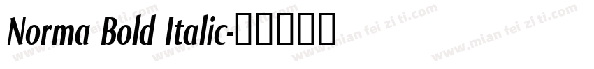 Norma Bold Italic字体转换